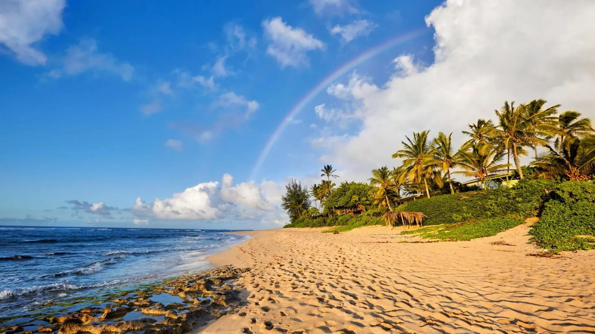 Charming Beach Apartment Your Hawaiian Getaway هاليوا بيت للعطل