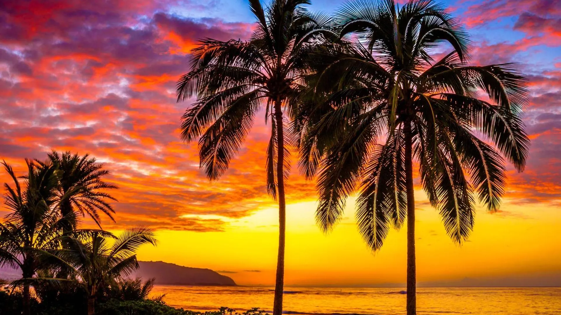 Charming Beach Apartment Your Hawaiian Getaway هاليوا